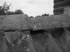 los-liggende-nokvorsten